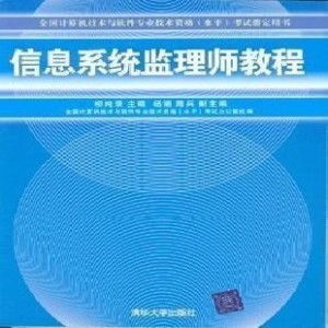 全國(guó)計(jì)算機(jī)技術(shù)與軟件專業(yè)技術(shù)資格考試指定用書 全面指南與咨詢